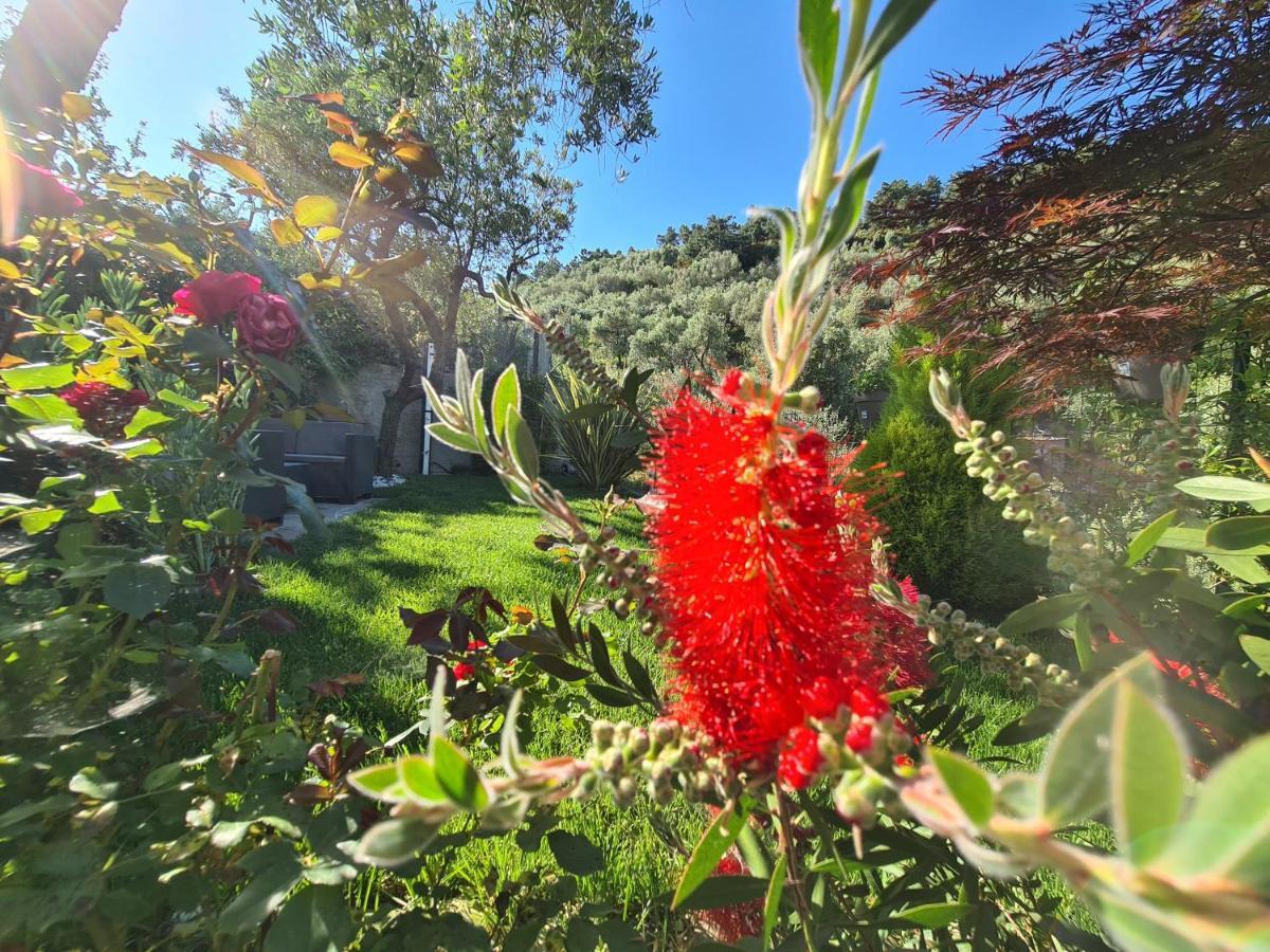 The Garden Villa Volastra Eksteriør billede